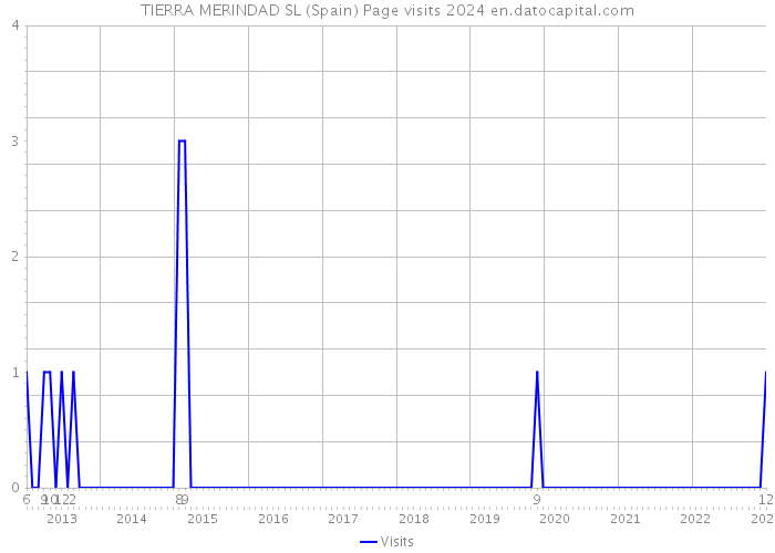 TIERRA MERINDAD SL (Spain) Page visits 2024 
