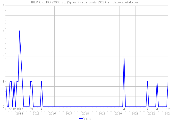 IBER GRUPO 2000 SL. (Spain) Page visits 2024 