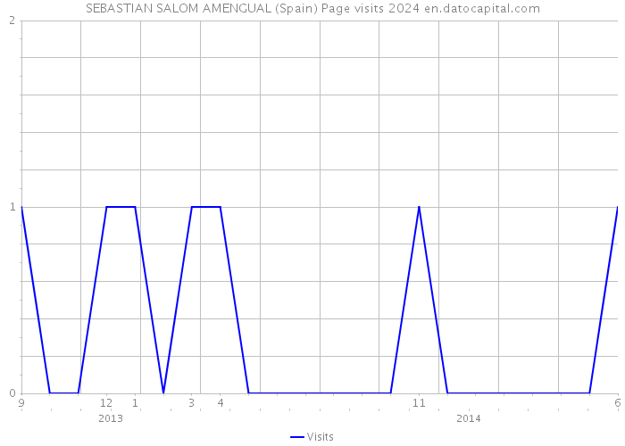 SEBASTIAN SALOM AMENGUAL (Spain) Page visits 2024 