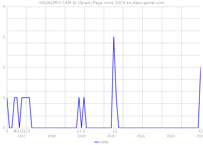 VISUALPRO CAM SL (Spain) Page visits 2024 