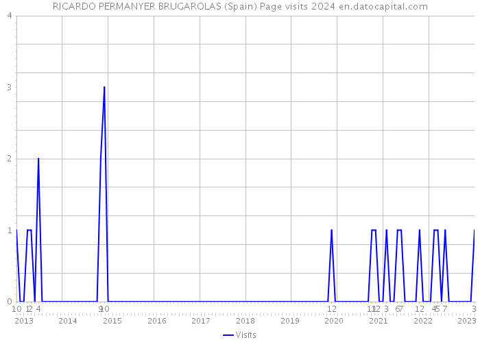 RICARDO PERMANYER BRUGAROLAS (Spain) Page visits 2024 
