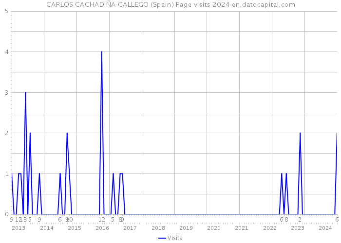 CARLOS CACHADIÑA GALLEGO (Spain) Page visits 2024 