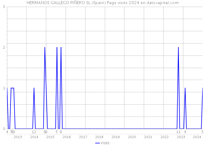 HERMANOS GALLEGO PIÑERO SL (Spain) Page visits 2024 