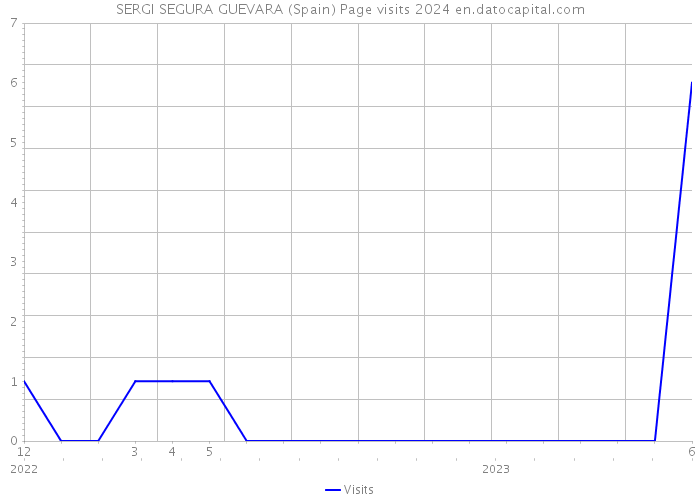 SERGI SEGURA GUEVARA (Spain) Page visits 2024 