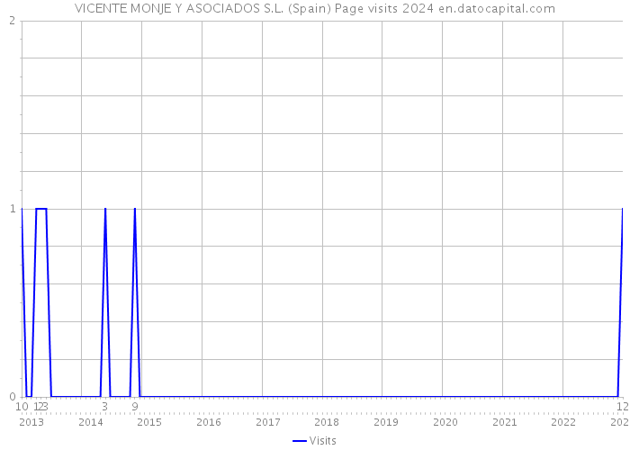 VICENTE MONJE Y ASOCIADOS S.L. (Spain) Page visits 2024 