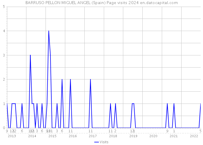 BARRUSO PELLON MIGUEL ANGEL (Spain) Page visits 2024 