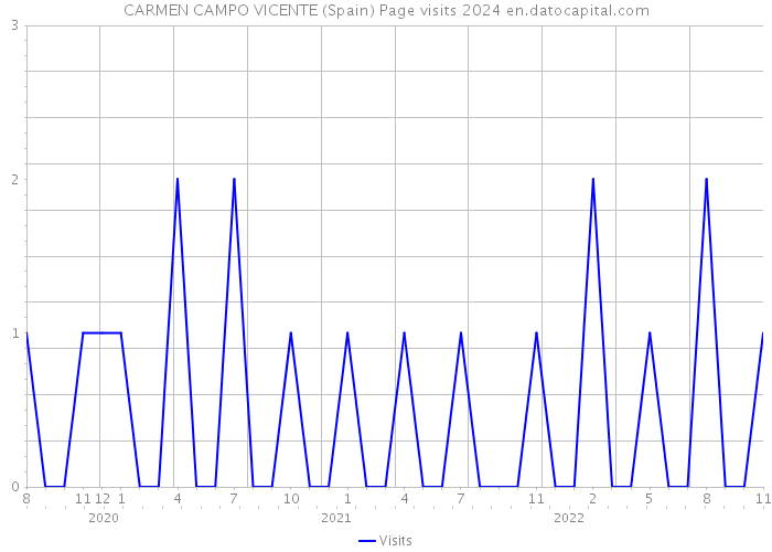 CARMEN CAMPO VICENTE (Spain) Page visits 2024 