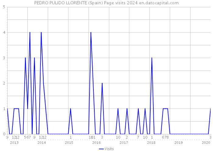 PEDRO PULIDO LLORENTE (Spain) Page visits 2024 