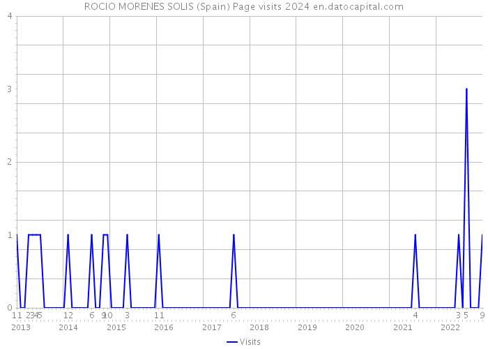 ROCIO MORENES SOLIS (Spain) Page visits 2024 