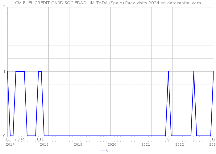 GM FUEL CREDIT CARD SOCIEDAD LIMITADA (Spain) Page visits 2024 