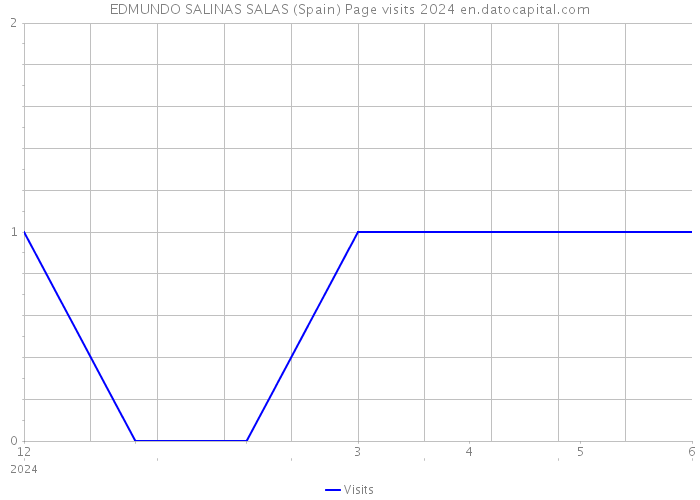 EDMUNDO SALINAS SALAS (Spain) Page visits 2024 