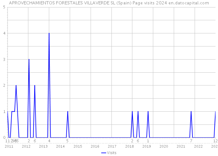 APROVECHAMIENTOS FORESTALES VILLAVERDE SL (Spain) Page visits 2024 
