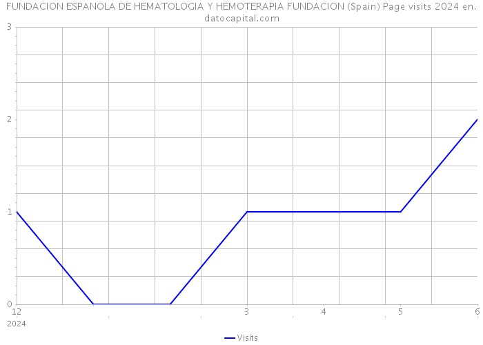 FUNDACION ESPANOLA DE HEMATOLOGIA Y HEMOTERAPIA FUNDACION (Spain) Page visits 2024 