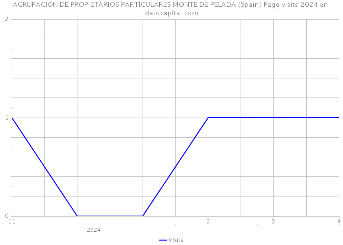 AGRUPACION DE PROPIETARIOS PARTICULARES MONTE DE PELADA (Spain) Page visits 2024 