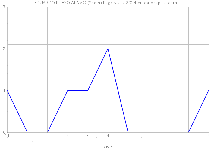 EDUARDO PUEYO ALAMO (Spain) Page visits 2024 