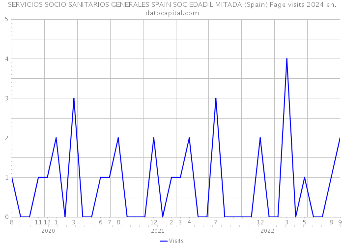 SERVICIOS SOCIO SANITARIOS GENERALES SPAIN SOCIEDAD LIMITADA (Spain) Page visits 2024 