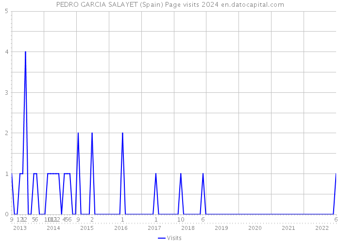 PEDRO GARCIA SALAYET (Spain) Page visits 2024 
