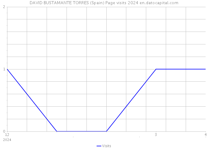 DAVID BUSTAMANTE TORRES (Spain) Page visits 2024 