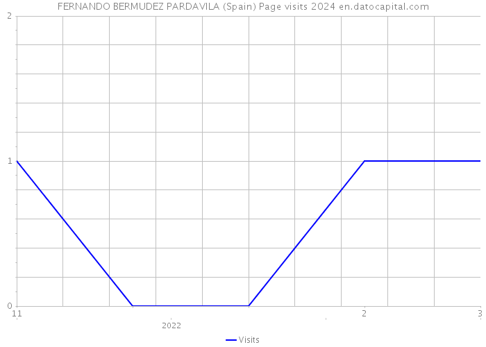 FERNANDO BERMUDEZ PARDAVILA (Spain) Page visits 2024 
