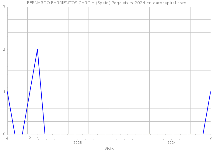 BERNARDO BARRIENTOS GARCIA (Spain) Page visits 2024 