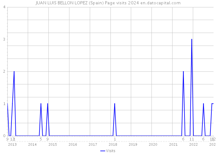 JUAN LUIS BELLON LOPEZ (Spain) Page visits 2024 