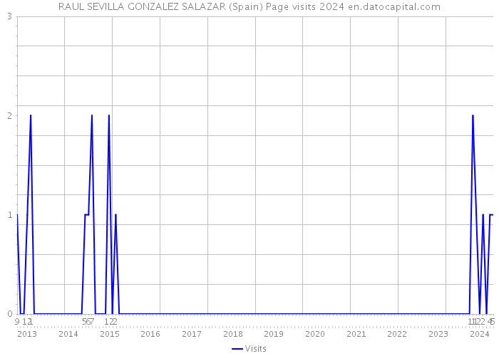 RAUL SEVILLA GONZALEZ SALAZAR (Spain) Page visits 2024 