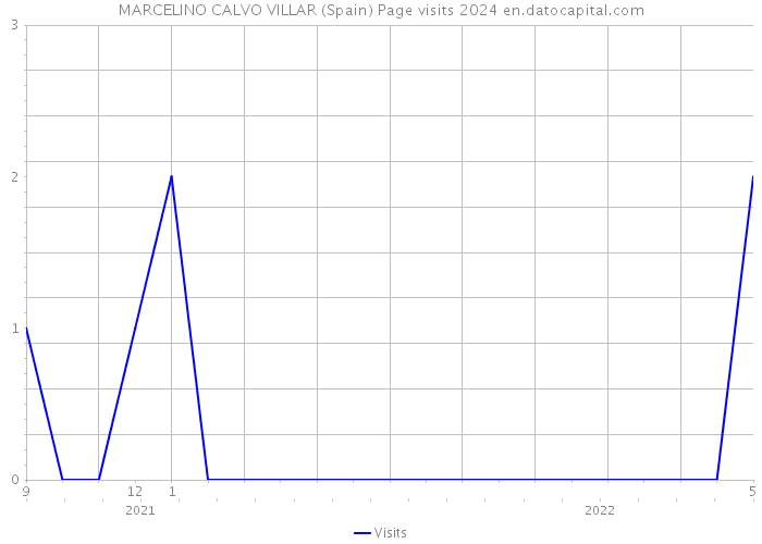 MARCELINO CALVO VILLAR (Spain) Page visits 2024 