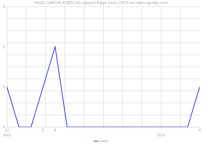 RAUL GARCIA RUESCAS (Spain) Page visits 2024 