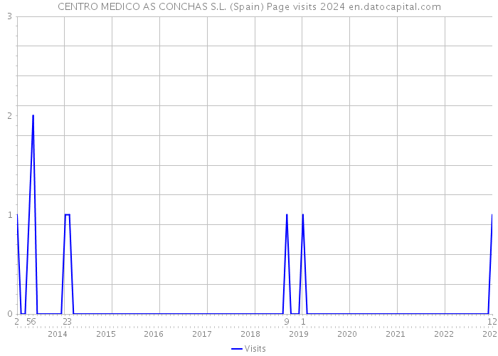 CENTRO MEDICO AS CONCHAS S.L. (Spain) Page visits 2024 