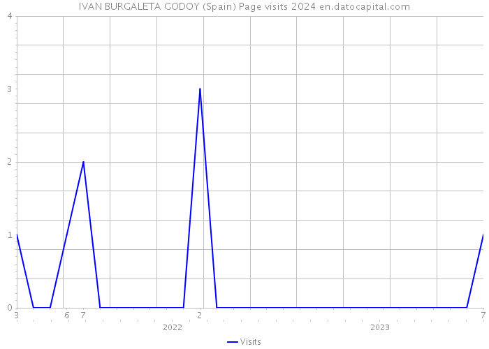 IVAN BURGALETA GODOY (Spain) Page visits 2024 