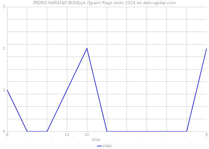 PEDRO NARANJO BONILLA (Spain) Page visits 2024 