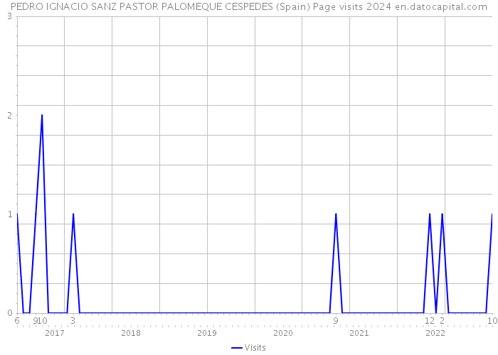 PEDRO IGNACIO SANZ PASTOR PALOMEQUE CESPEDES (Spain) Page visits 2024 