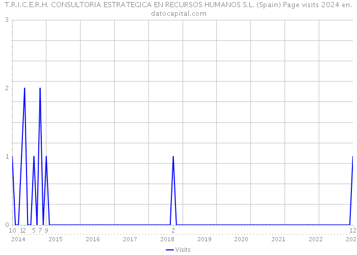 T.R.I.C.E.R.H. CONSULTORIA ESTRATEGICA EN RECURSOS HUMANOS S.L. (Spain) Page visits 2024 