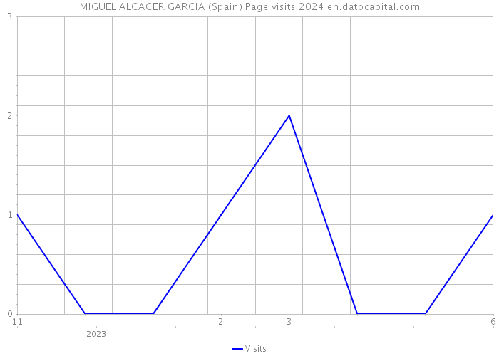 MIGUEL ALCACER GARCIA (Spain) Page visits 2024 