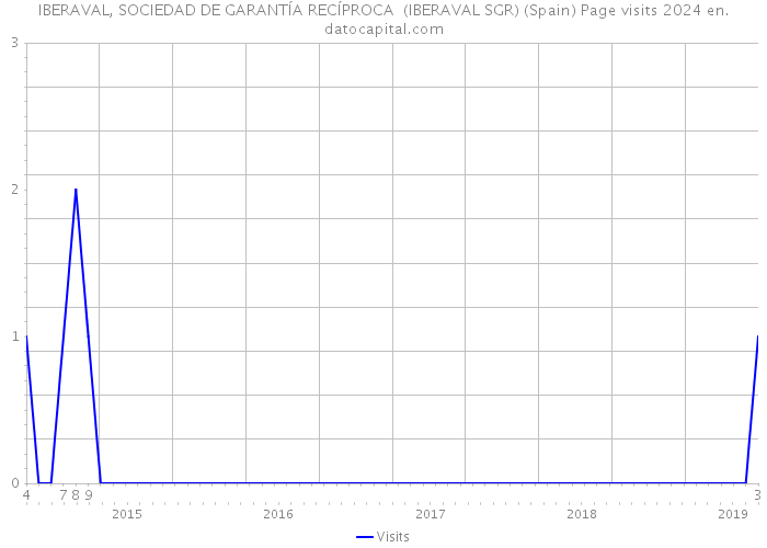 IBERAVAL, SOCIEDAD DE GARANTÍA RECÍPROCA (IBERAVAL SGR) (Spain) Page visits 2024 