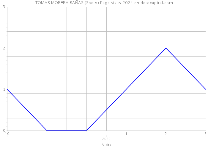 TOMAS MORERA BAÑAS (Spain) Page visits 2024 