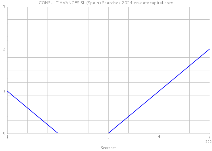 CONSULT AVANGES SL (Spain) Searches 2024 
