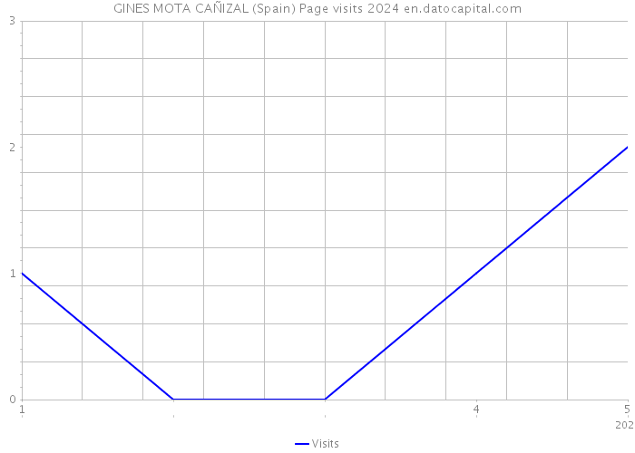 GINES MOTA CAÑIZAL (Spain) Page visits 2024 