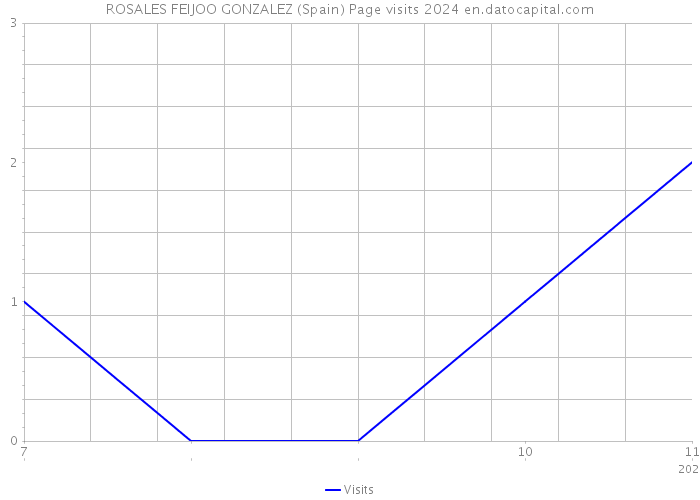 ROSALES FEIJOO GONZALEZ (Spain) Page visits 2024 