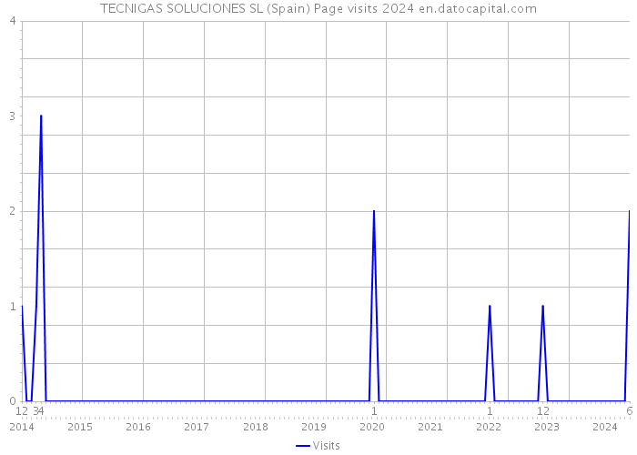 TECNIGAS SOLUCIONES SL (Spain) Page visits 2024 