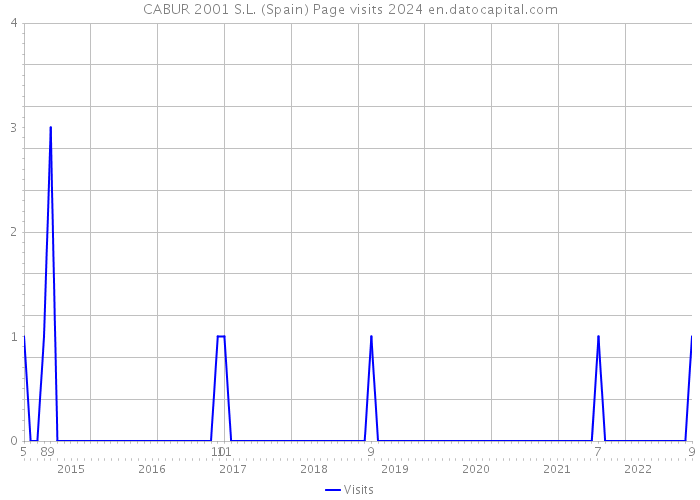 CABUR 2001 S.L. (Spain) Page visits 2024 