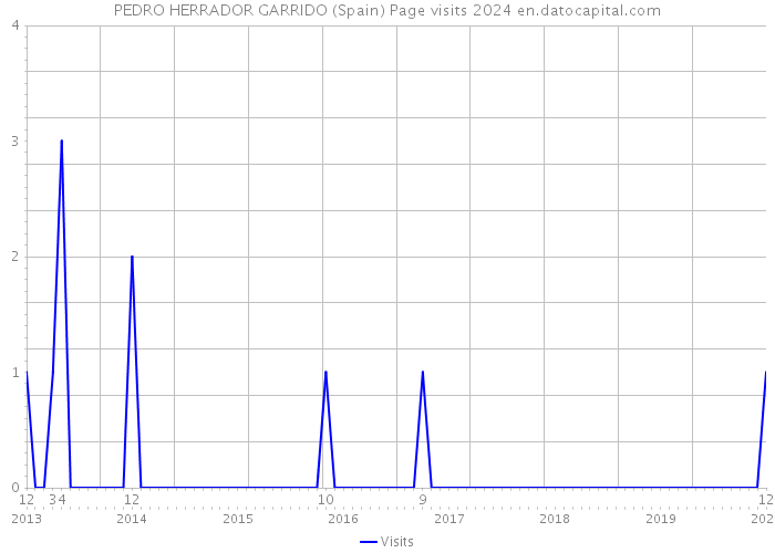 PEDRO HERRADOR GARRIDO (Spain) Page visits 2024 