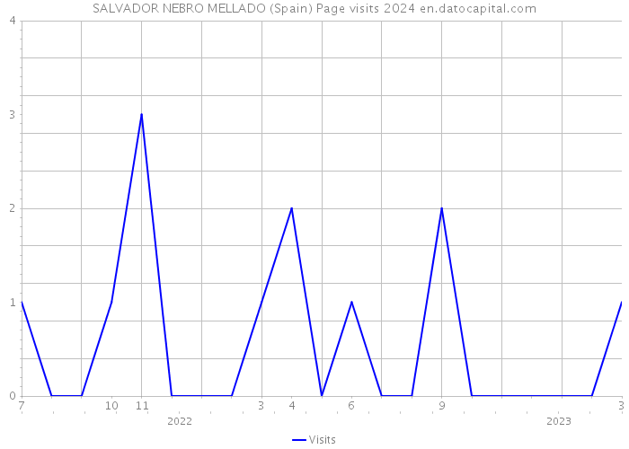SALVADOR NEBRO MELLADO (Spain) Page visits 2024 