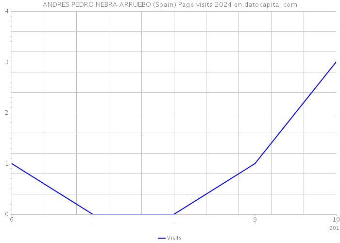 ANDRES PEDRO NEBRA ARRUEBO (Spain) Page visits 2024 