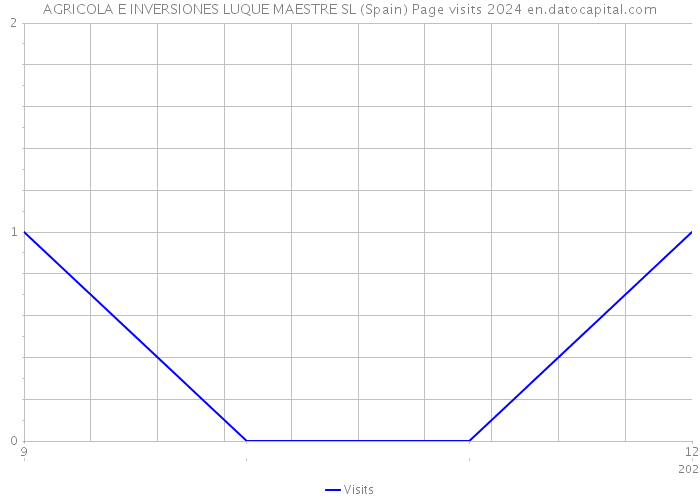 AGRICOLA E INVERSIONES LUQUE MAESTRE SL (Spain) Page visits 2024 