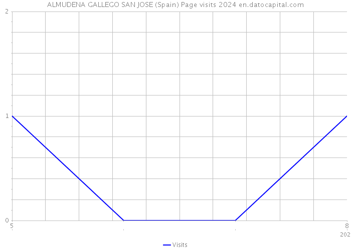 ALMUDENA GALLEGO SAN JOSE (Spain) Page visits 2024 