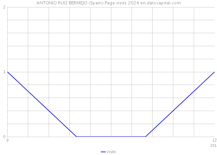 ANTONIO RUIZ BERMEJO (Spain) Page visits 2024 