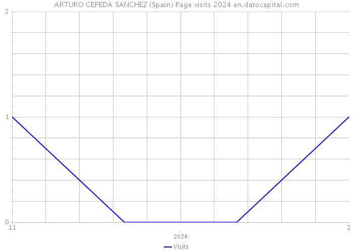 ARTURO CEPEDA SANCHEZ (Spain) Page visits 2024 