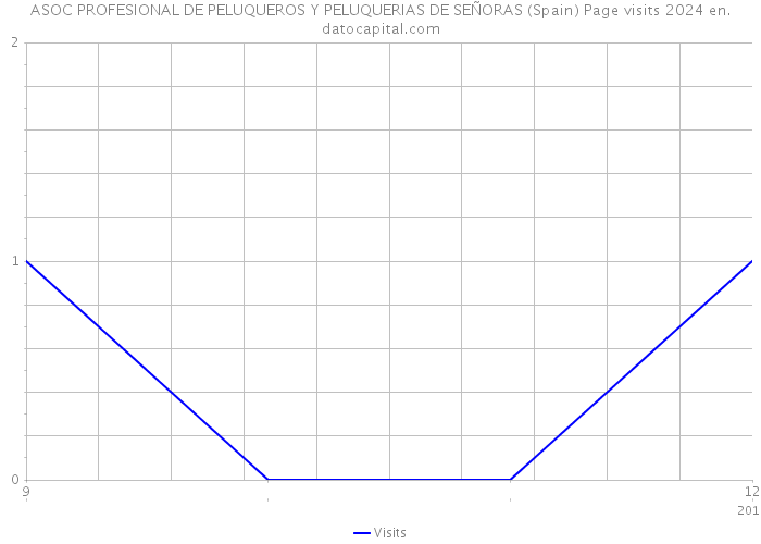 ASOC PROFESIONAL DE PELUQUEROS Y PELUQUERIAS DE SEÑORAS (Spain) Page visits 2024 