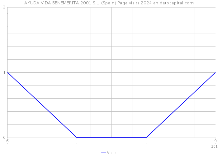 AYUDA VIDA BENEMERITA 2001 S.L. (Spain) Page visits 2024 